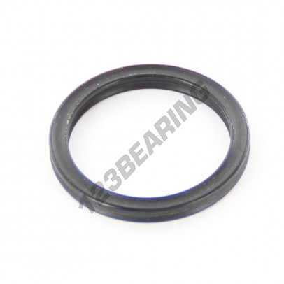 XR-21.89X2.62-NBR80-N4118